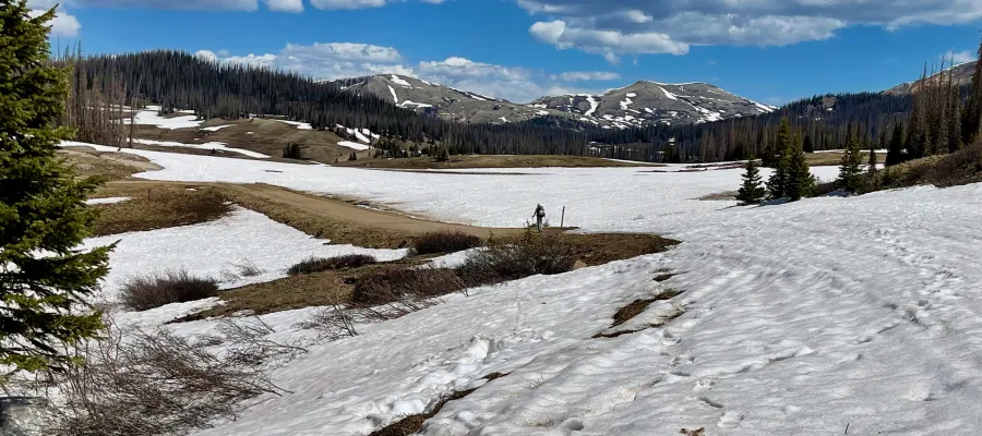 Top O' walks ahead in the snow