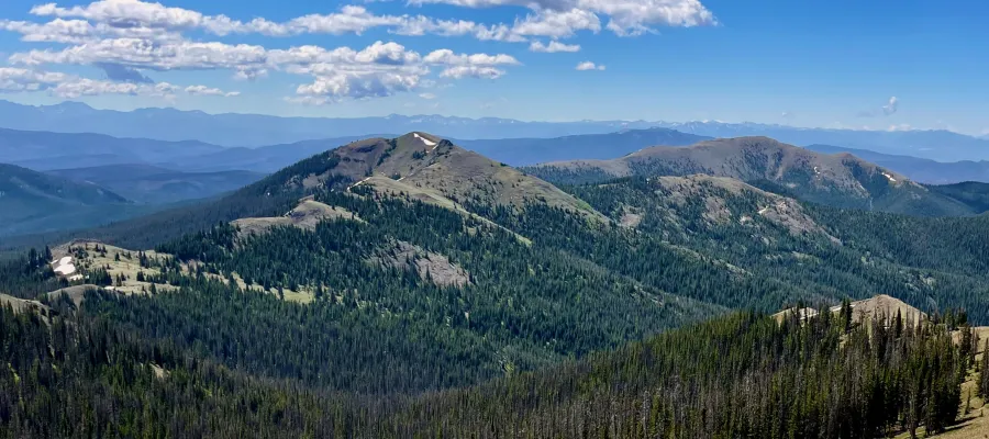 A view from Poison Ridge