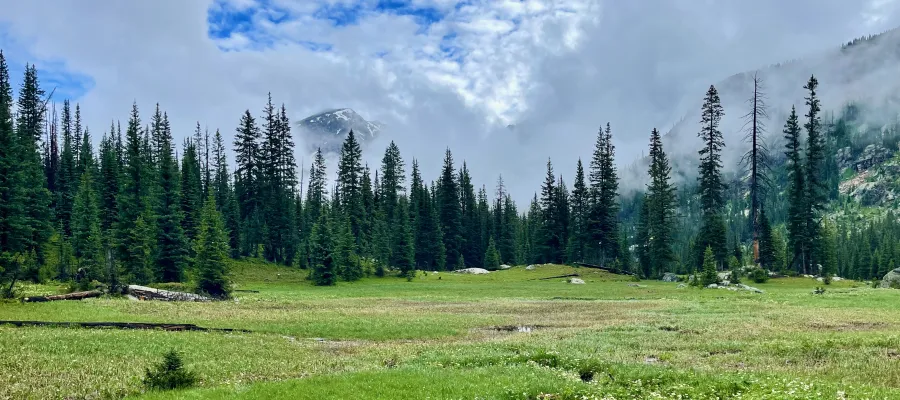 Clouds surround Coyote Park