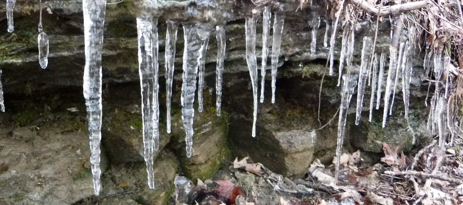 Icicles in Frozen Head State Park
