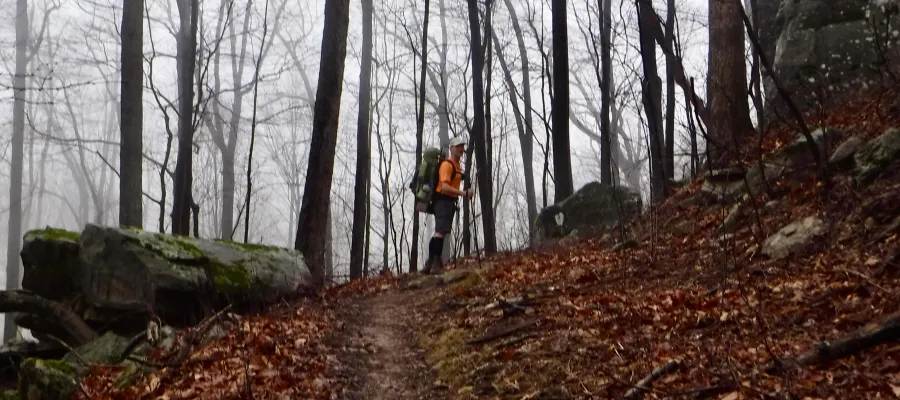 On Bird Mountain Trail