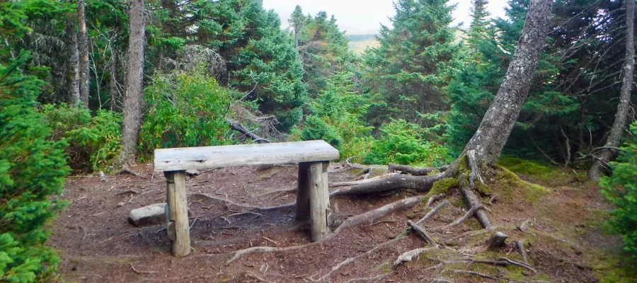 Bench on approach to Bemis Mountain