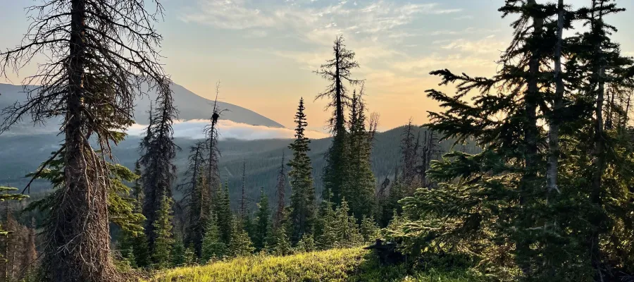 A morning view on the CDT near Windy Peak in Colorado