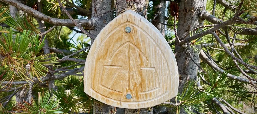A CDT emblem carved from wood is mounted on a tree