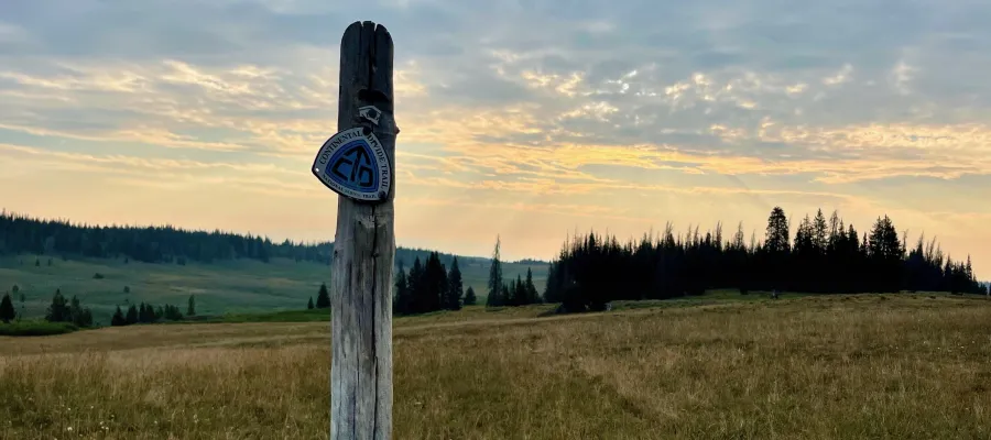 A CDT emblem is attached to a post on the trail