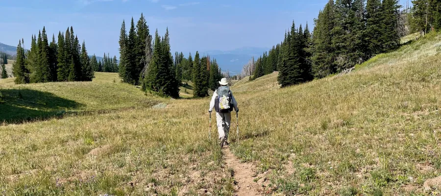 walking on Fawn Pass Trail