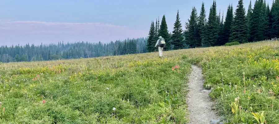 Top O' walks across a meadow on the Ramshorn Lake Trail