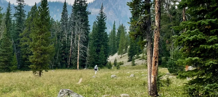 walking in Bear Basin, Montana