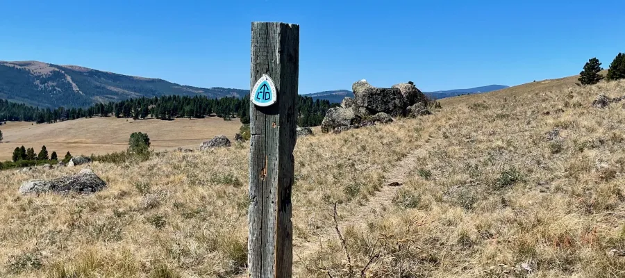 A post stands next to the trail with a CDT emblem