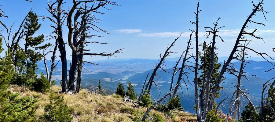 A view from Black Mountain