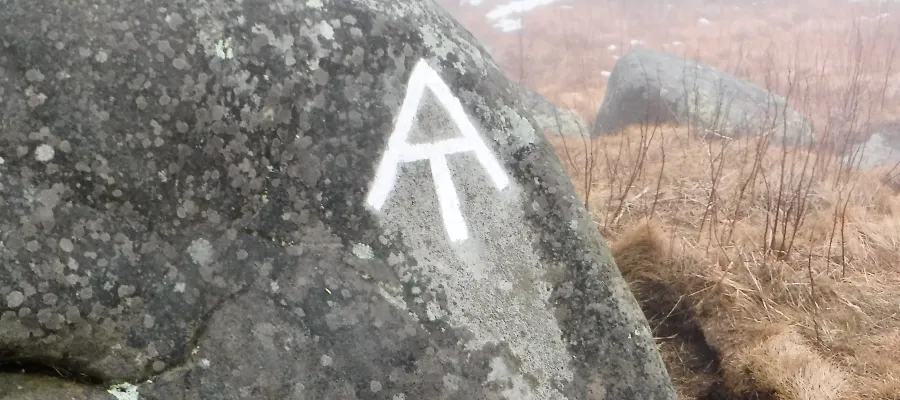 Fog on Little Hump Mountain