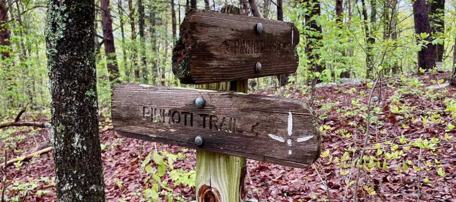 Two signs mark a turn on the trail