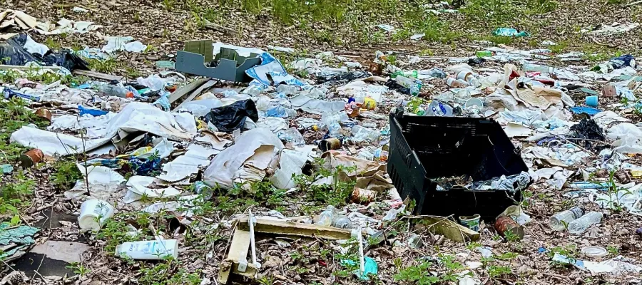 A scattered pile of garbage