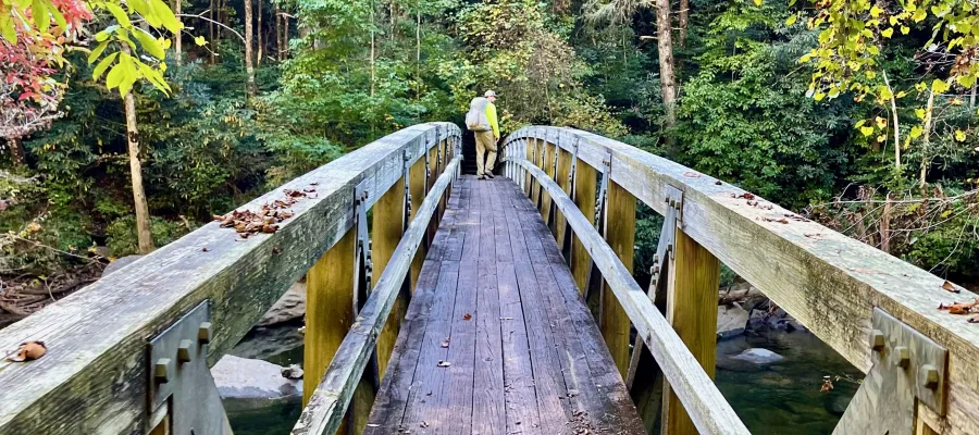 Sasquatch crosses a wooden footbridge