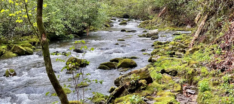 Deep Creek