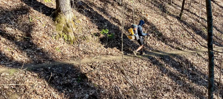 Polecat descending a switchback