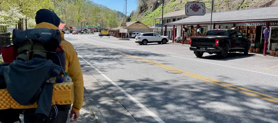 Polecat walks through Cherokee, N.C.