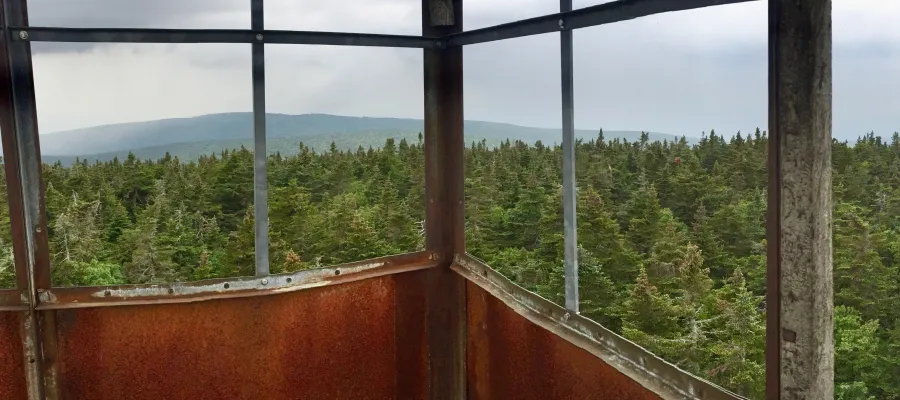 View from Glastenbury Mountain tower