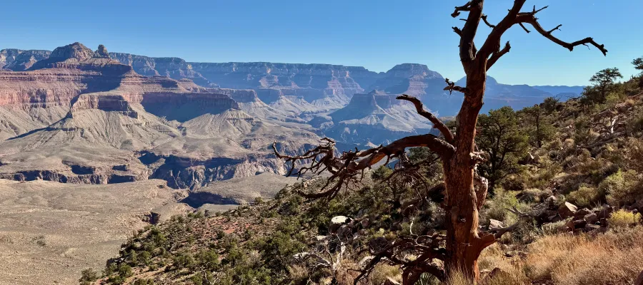 A view of the Grand Canyon near the South Rim