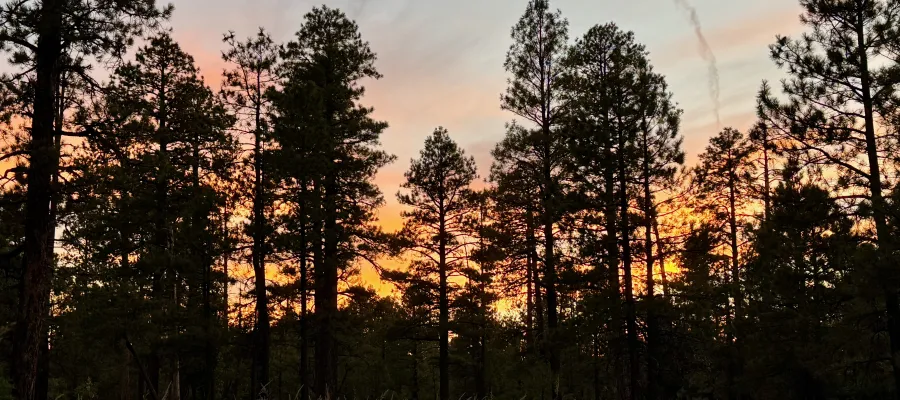 Sunset in Arizona