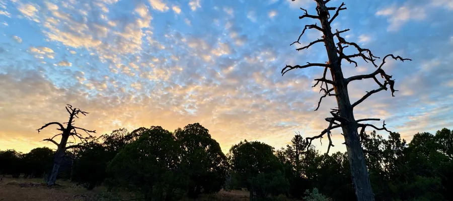 Sunrise on the Arizona Trail