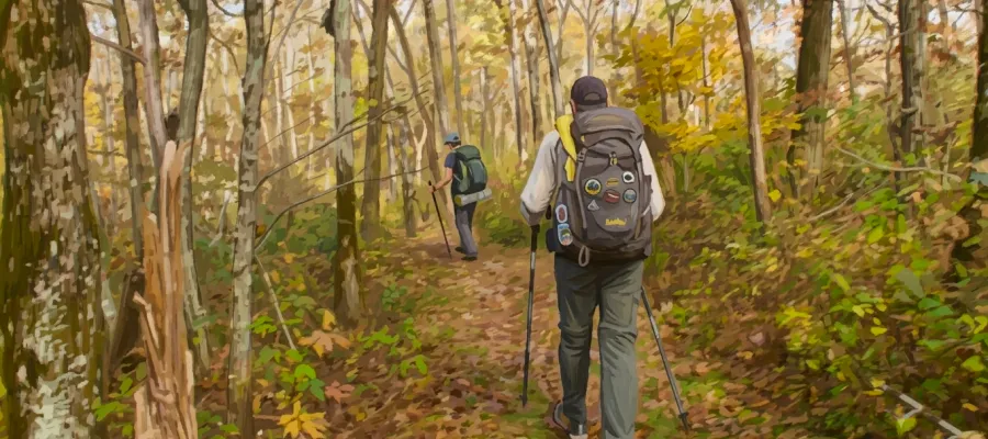 Benton MacKaye Trail
