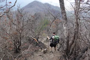 Descending Wesser Bald