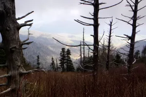 View from the trail