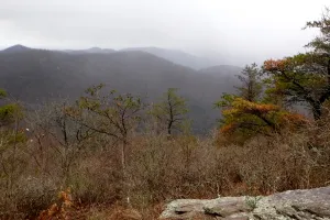 View from the trail 