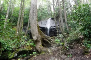 Mountaineer Falls