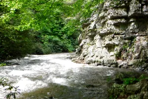 Laurel Fork Gorge
