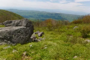 View from Buzzard Rock