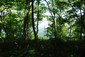 View from Peter's Mountain
