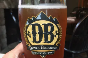 Devil's Backbone Beer