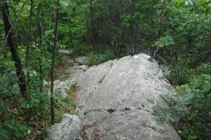 Large rock on the trail
