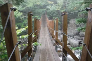 Footbridge over the Peabody River
