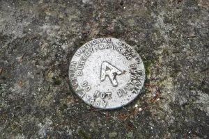 Survey marker