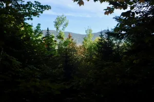 Narrow view of the mountains ahear