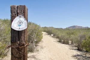 Faded trail sign