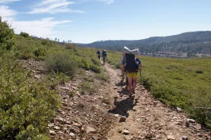 Tramily on the trail