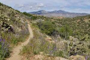Tengo Hambre on the trail