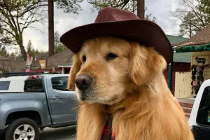 Mayor Max of Idyllwild
