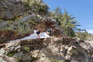 Tengo and Bookworm on a switchback