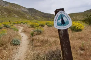 Pacific Crest Trail marker