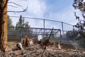 Former site of Randy Miller’s Predators in Action