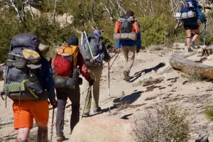 Tramily on the trail