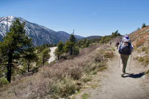View of Mount Baden-Powell