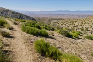 Looking back to Antelope Valley
