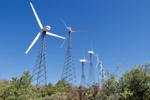 Wind mills pointing in many directions