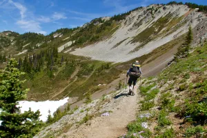 View of the Northern Cascades from the Pacific Crest Trail